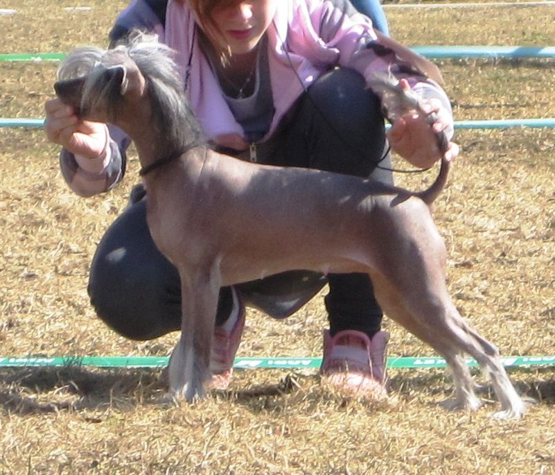 Lady's Trick Glamour Girl