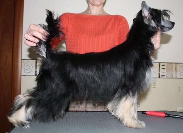 True Magnifisen Only You