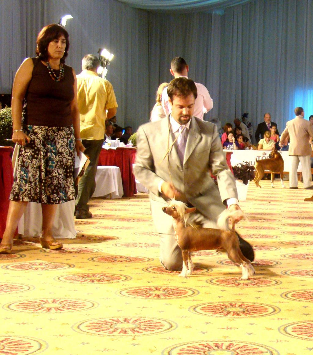 Farid Yamil Caricias