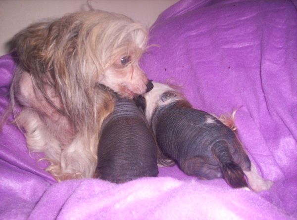 Marylyn de Nueva Avalon