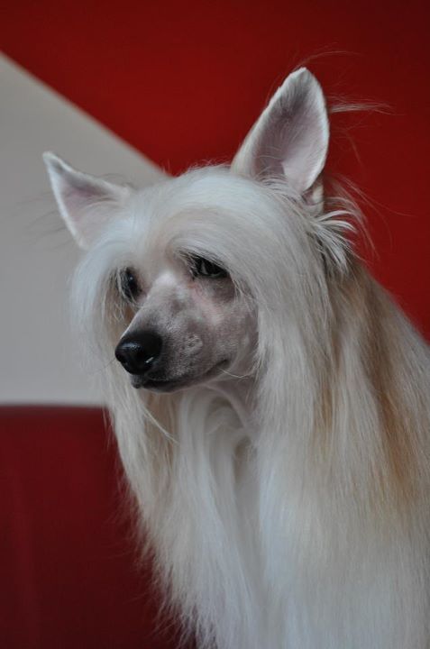 Aaron Bright Decoroso