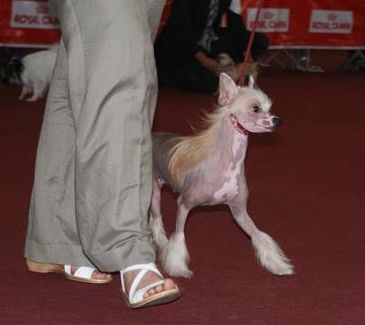 Ekilore Diamonds are forever