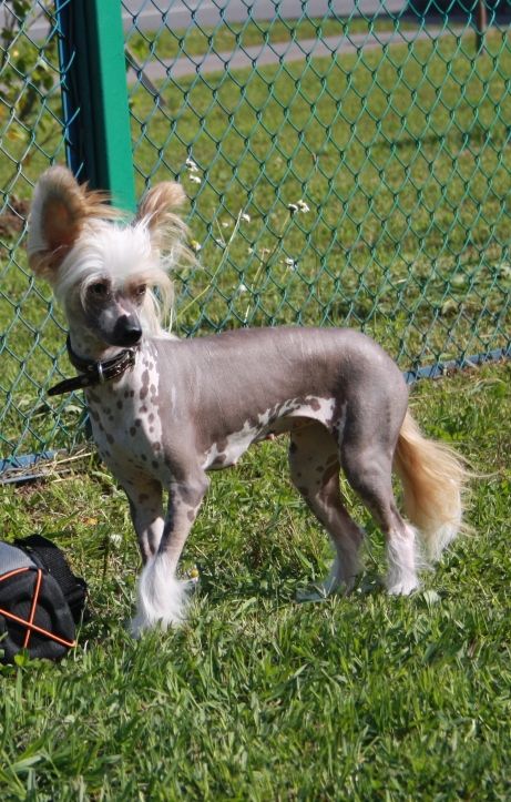 Milava ot Lyali Beloy