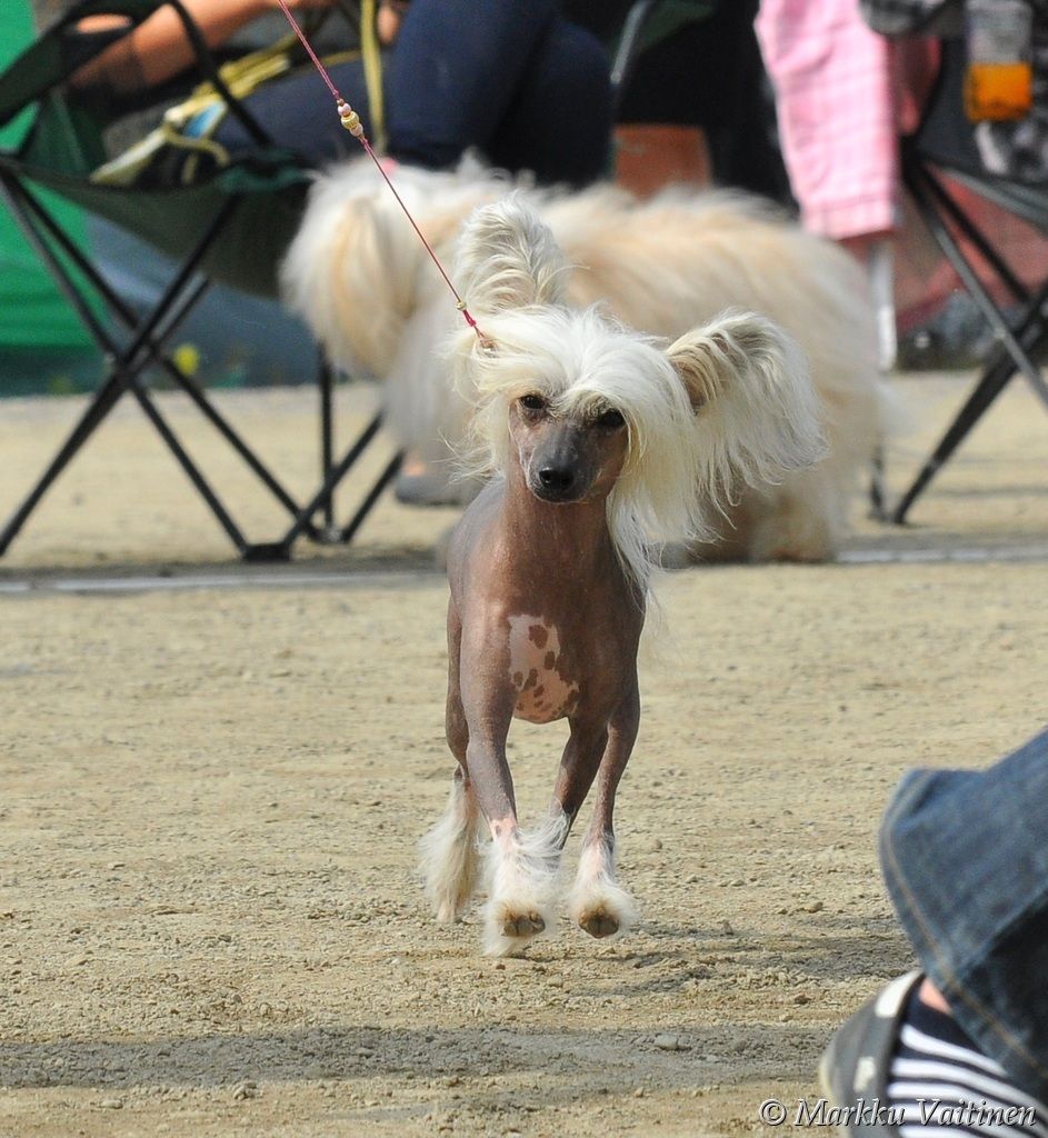 Olegro Katrin Little Russian Lady