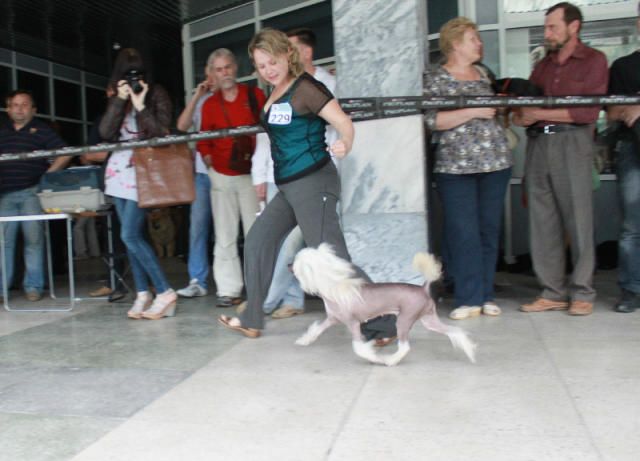 Olegro Katrin Lava Hot Lady