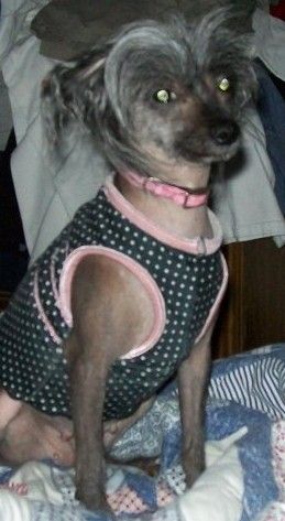 Glamorous I?M Suspicious