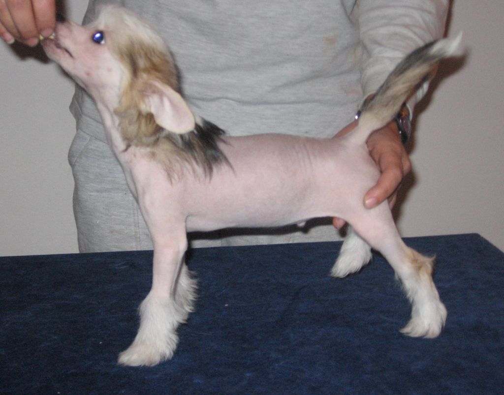 Chupa Chups Roztocka Hvezda