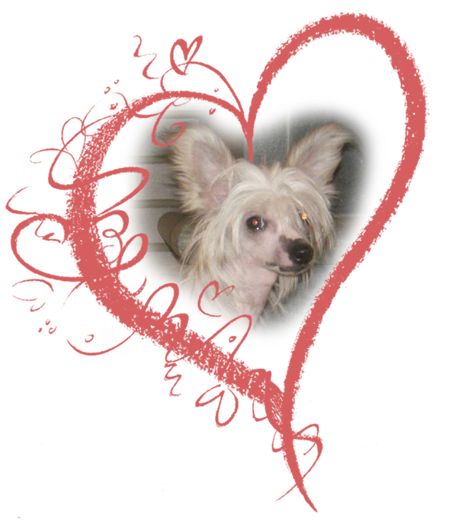 Meadowwood's Special For You