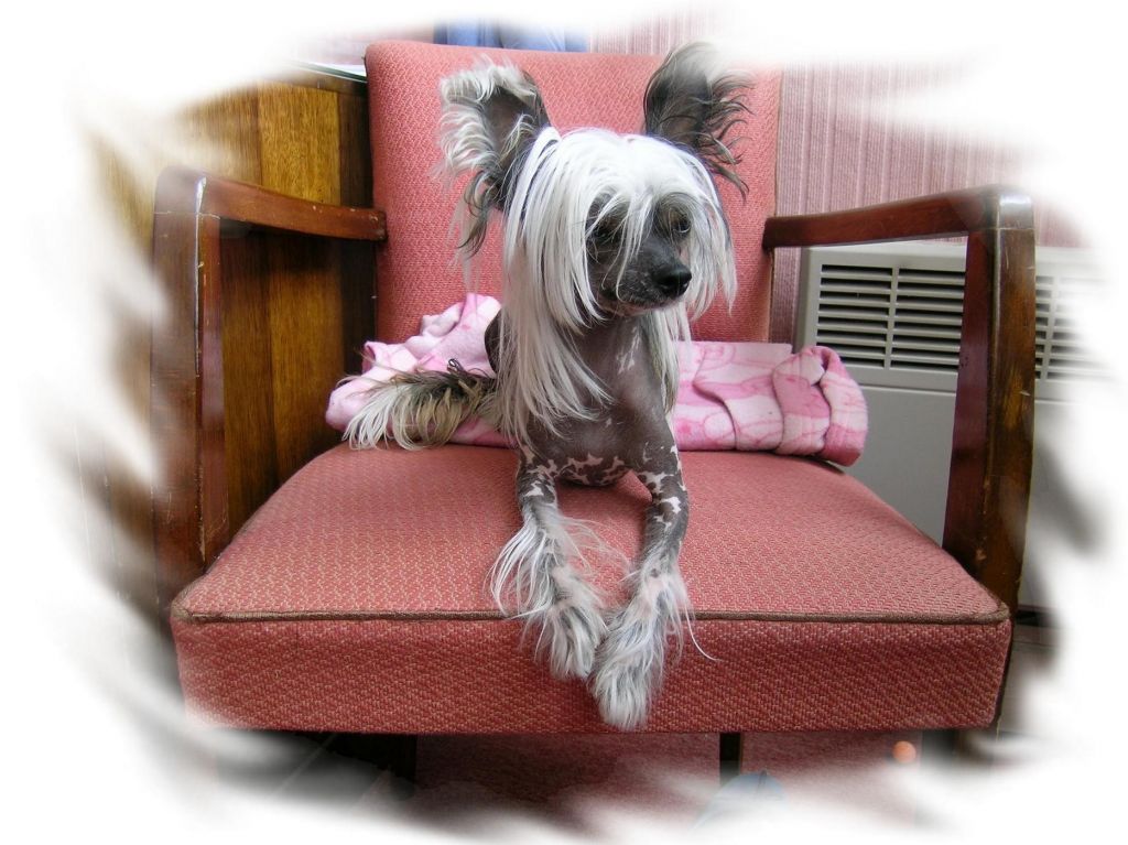 Devi Bhava de l'Eden des Cherubins 