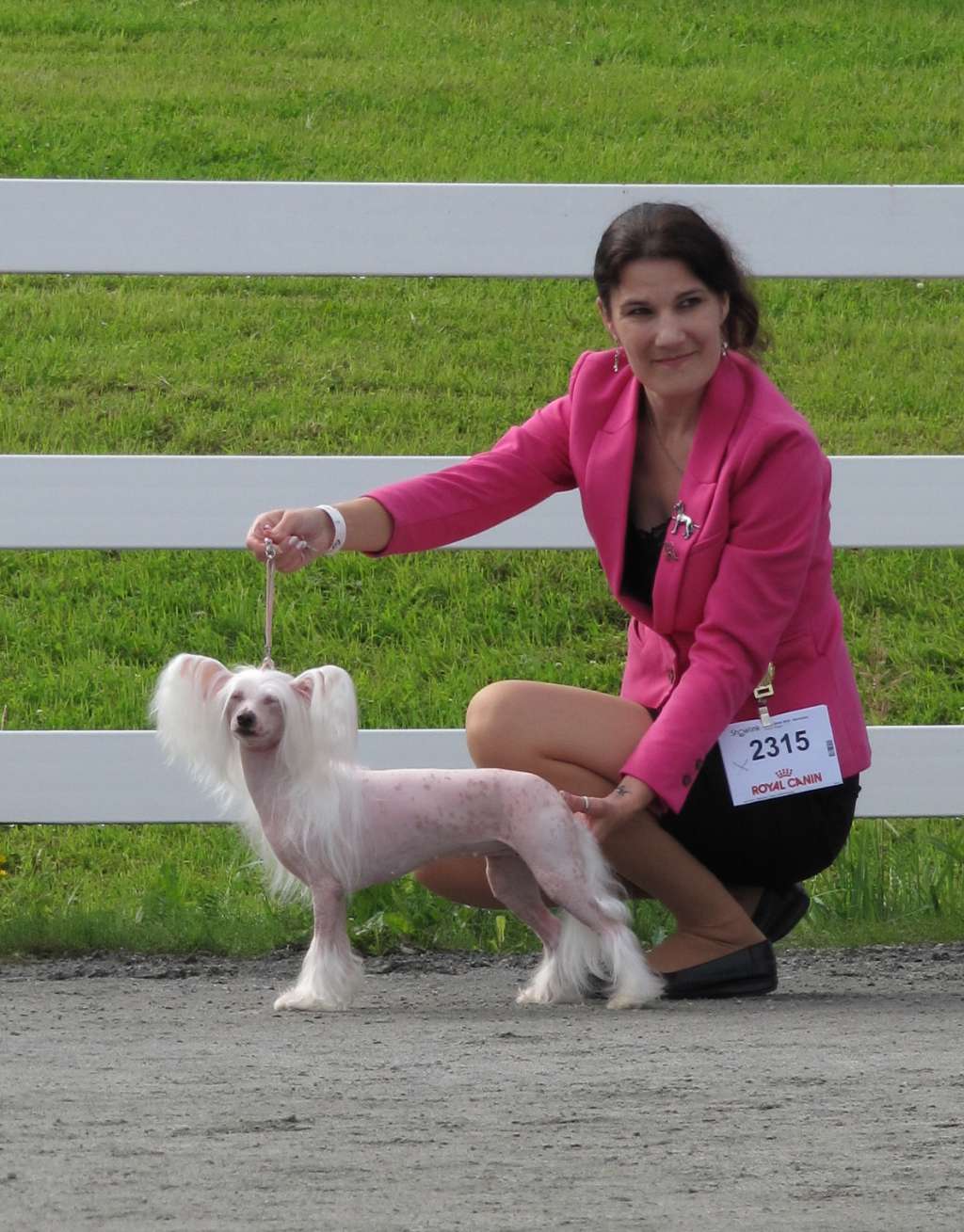 Joyway's Here Comes The Sun