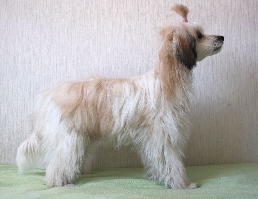 Fiabella's The Way You Love Me