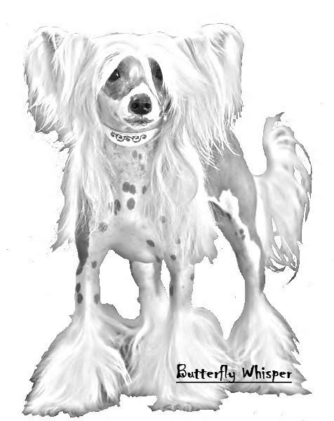 Beruthiel Loiseleuria