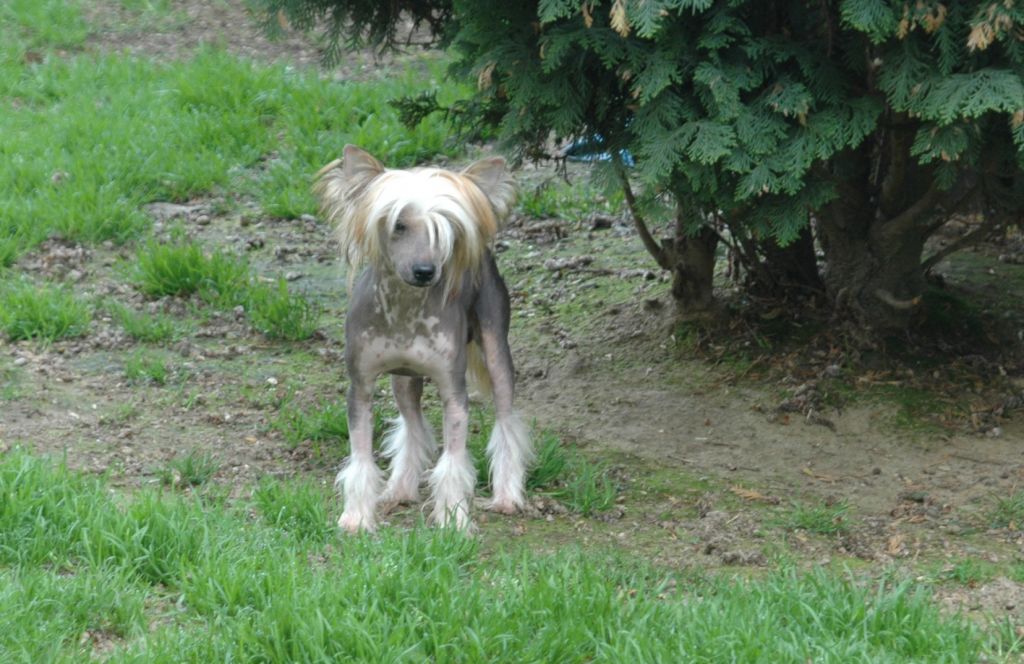 Hunter Little Champs