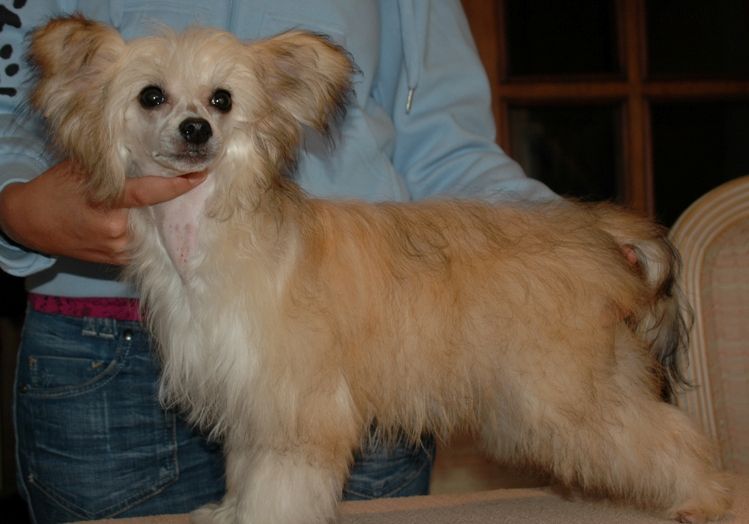 Habiba Little Champs