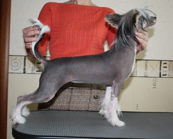 True Magnifisen Olivia Glamour Beauty