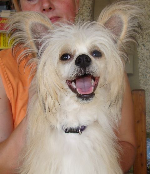 Earl Edmond Magická Noc