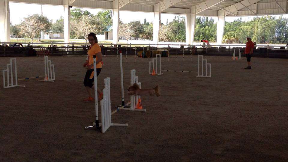 Stillmeadow N Cristall Climbing On The Monkey Bars