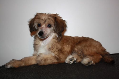 Fiabella's Nate Archibald