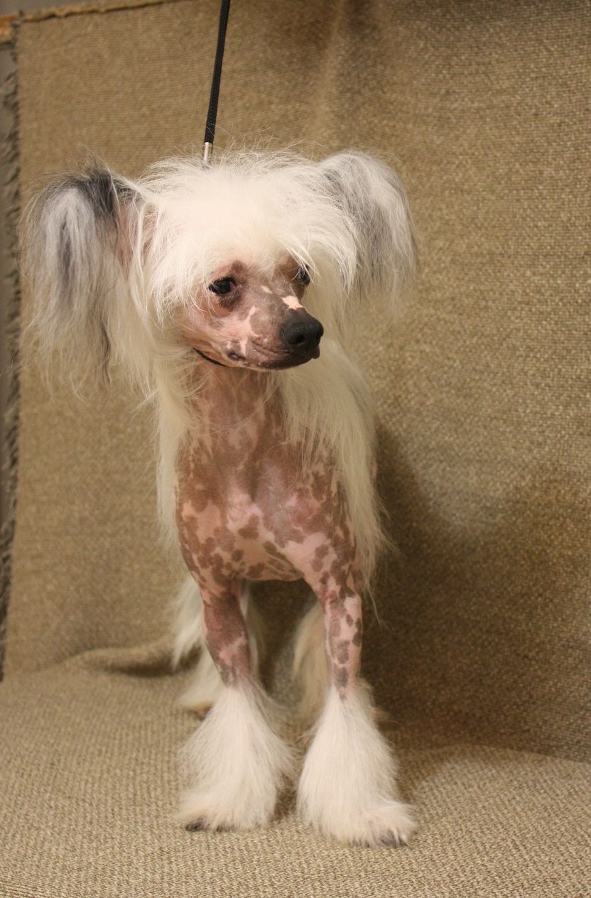 Rozi Rash Kass Lee An