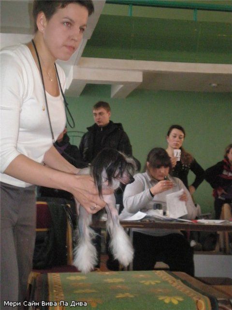 Meri Sain Viva La Diva