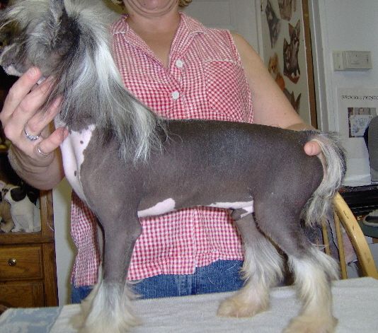 Show 'N Tell Bad As I Wanna Be By Xroads