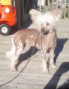 Earlylite Kalan Tequila Sunrise