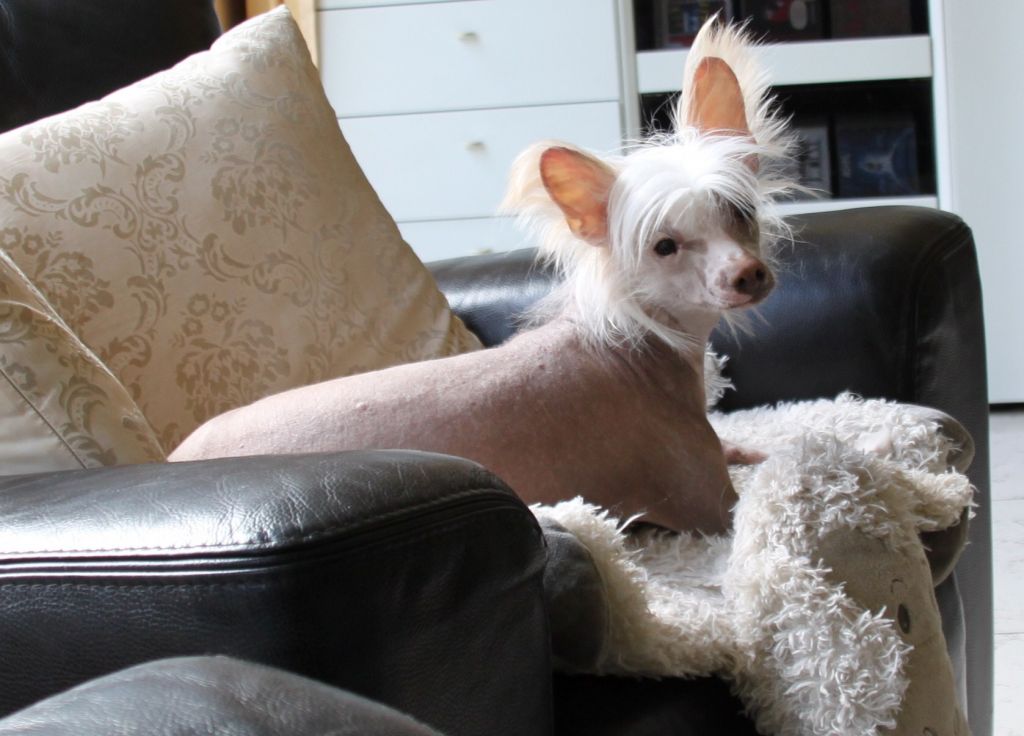 Cozy Matilda vom Feenmond