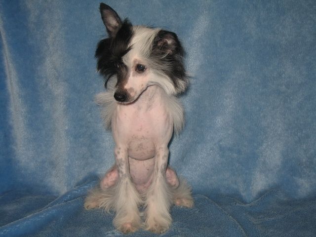 Like You Vita Kalimba De Luna