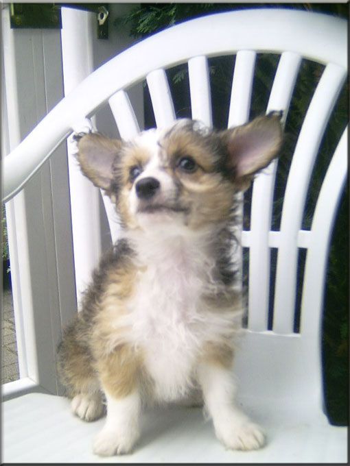 Almaz vom siebten Himmel