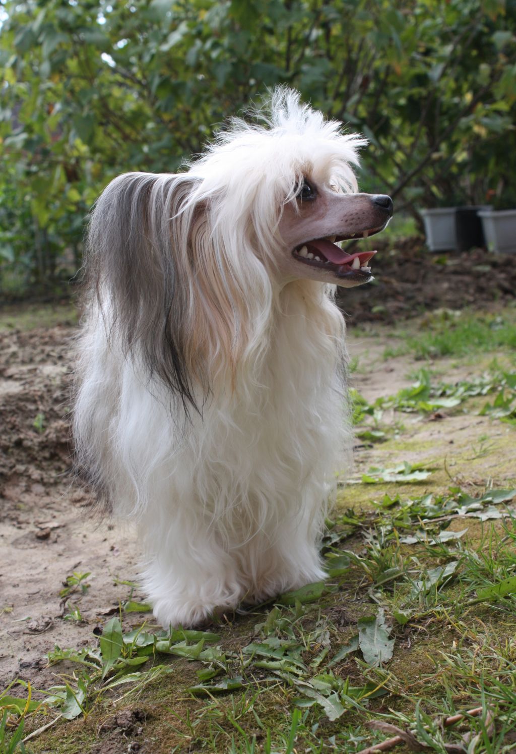 Tsy Ra Mina Flafi Puff