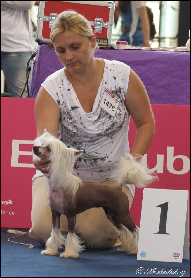 Sasha ze Zatopené chajdy