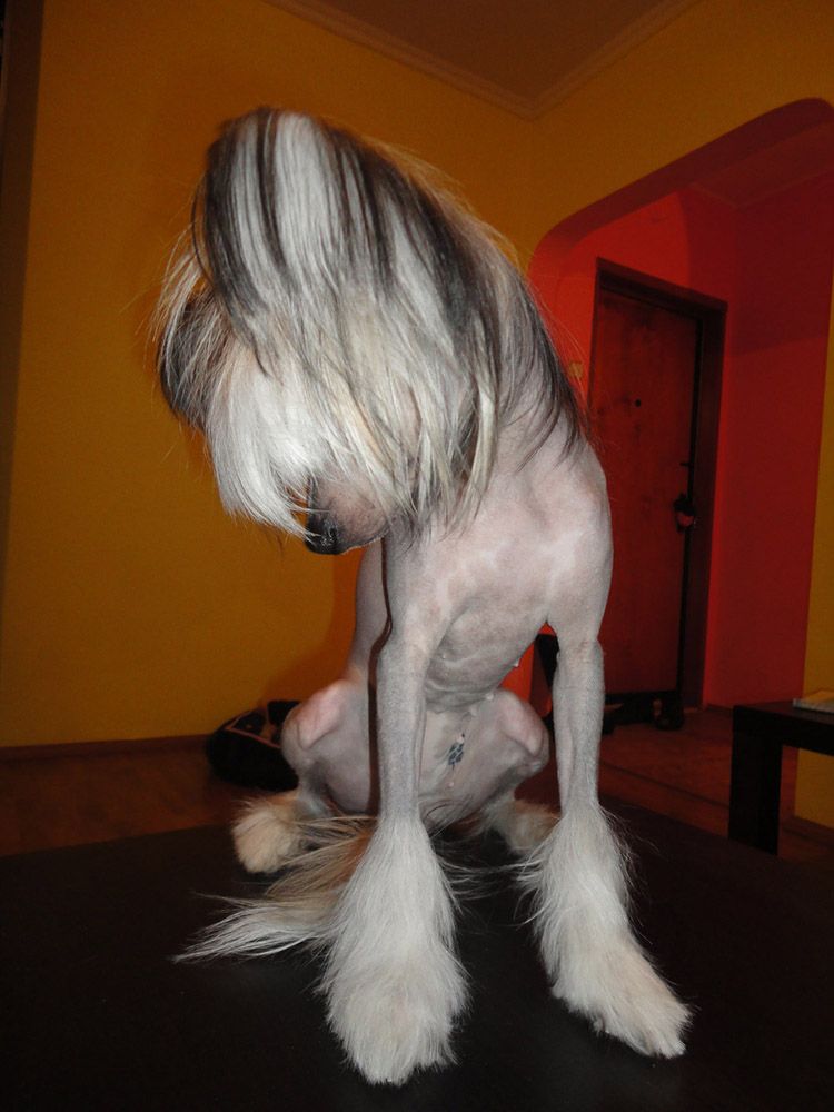 Kristal Yaniry  Miss Mira