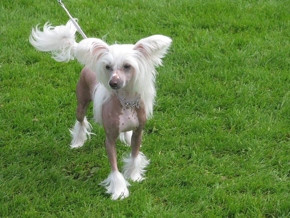 Sun-Hee's Luxury Living