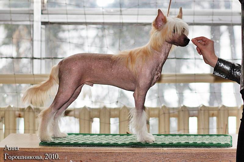 Alfa Laval Dynamic Flush