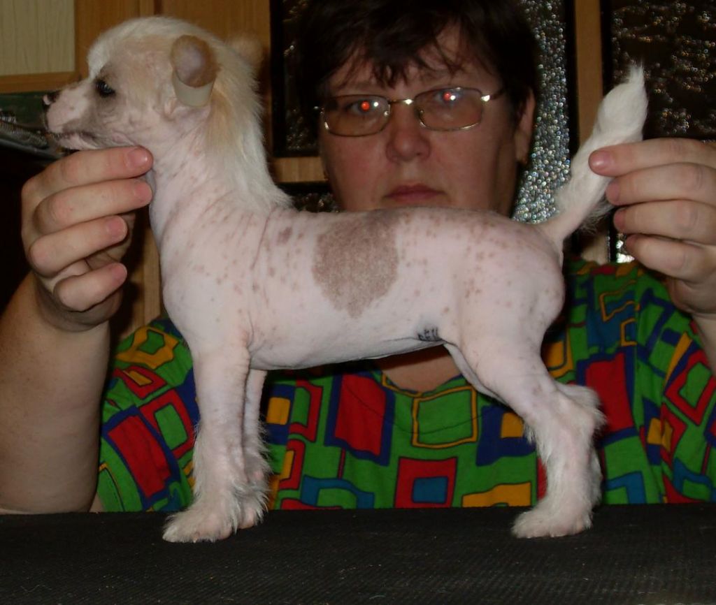 Fancy Style Netochka