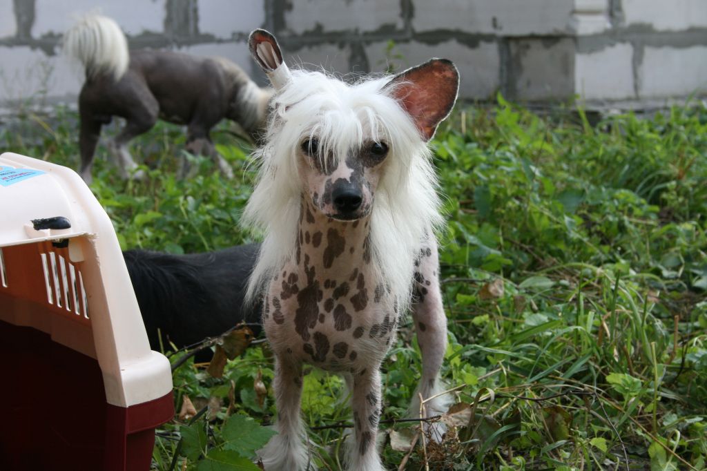 You only you Glamur ledy