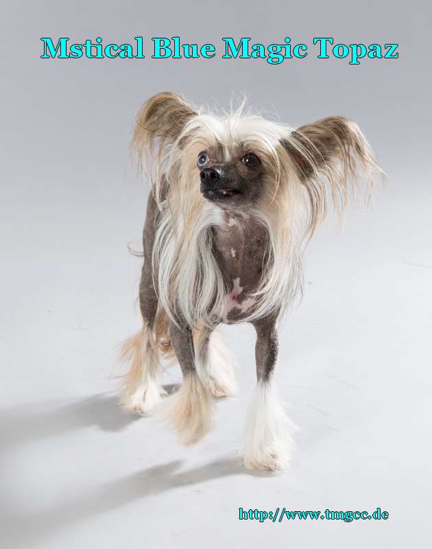 Mstical Blue Magic Topaz