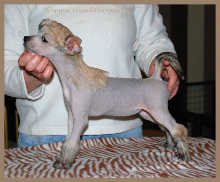 Her Name In Lights of Roxy's Pride