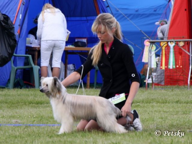 Bai Long's I'm Junior