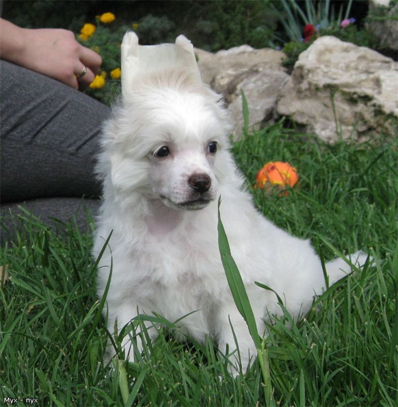 Silver Tauer Casper  Sky White