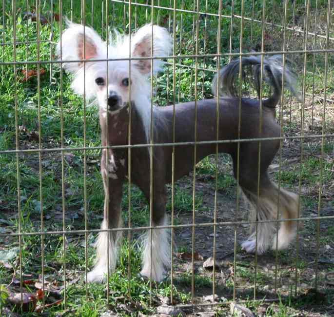 Mstical Ambrosia A'La Carte