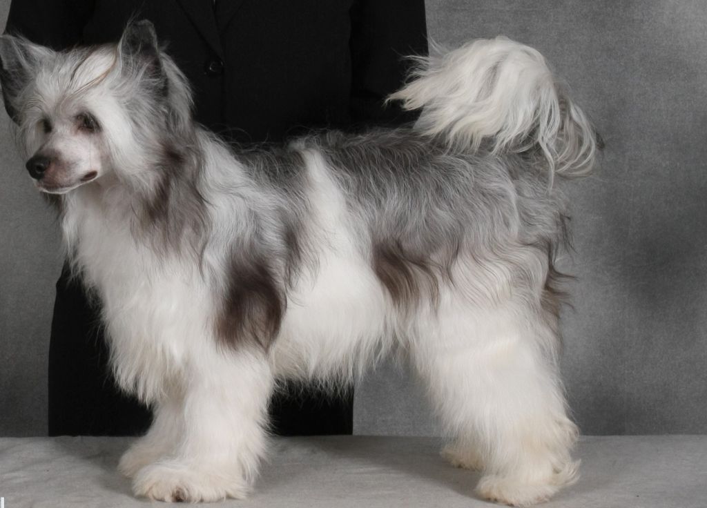 Daretobebares Move Over Boys