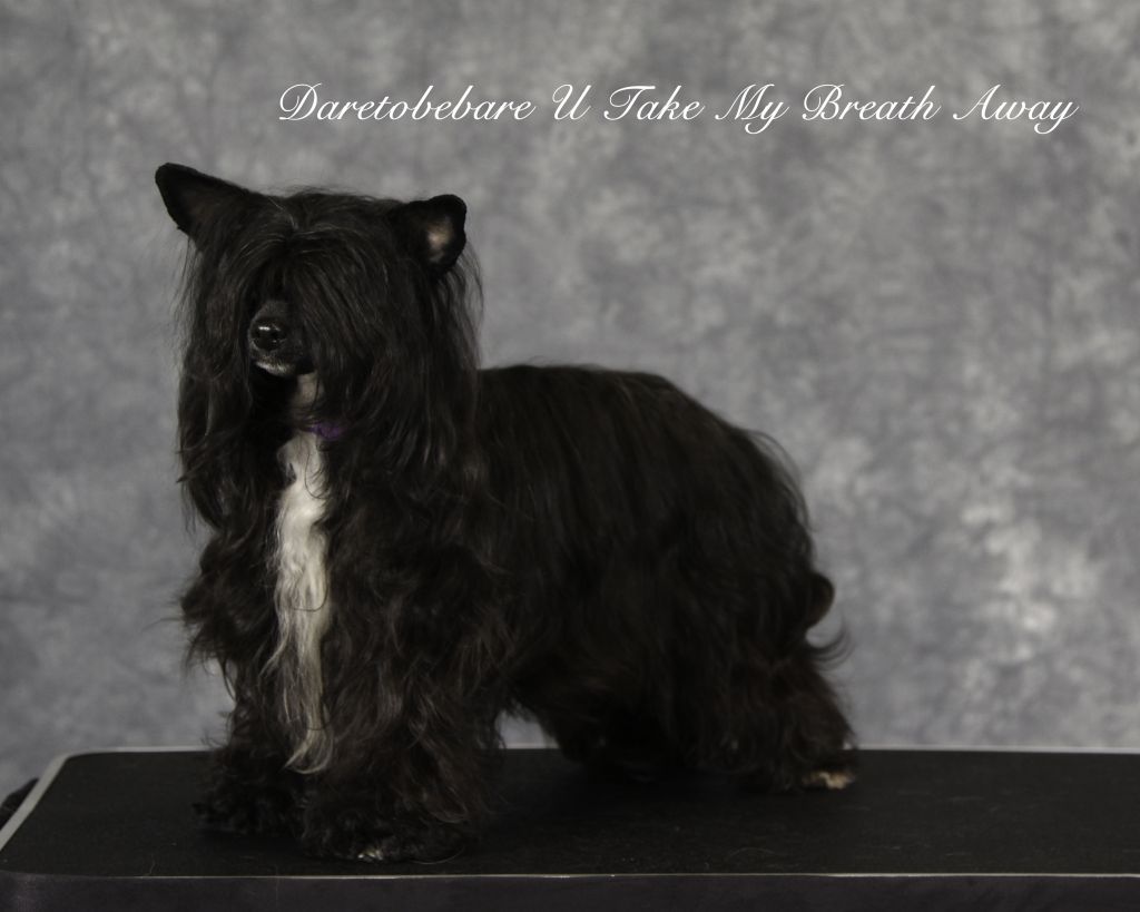 Daretobebare U Take My Breath Away