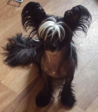 Elfgrace Rokeita Mirella Etual