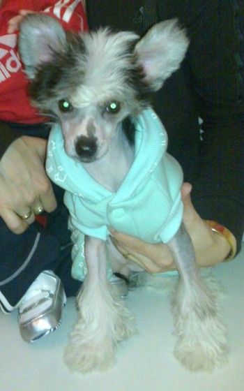 Alegra Diamond of the Night