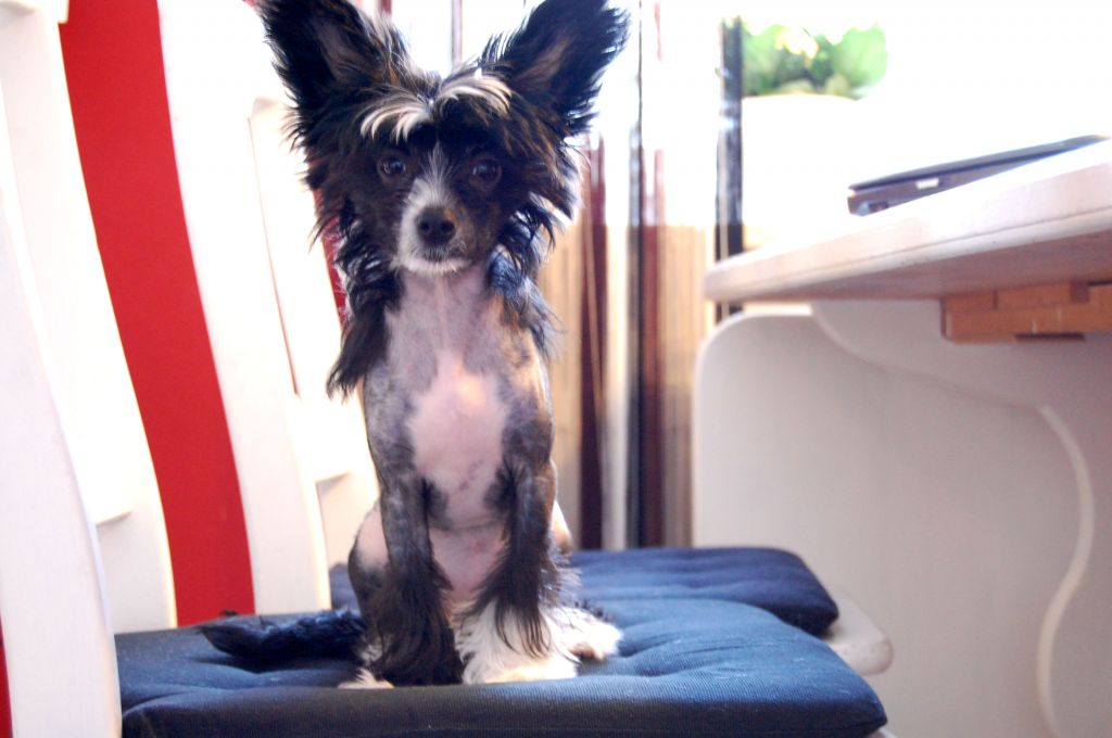 Cosplay's Rut Is The New Black