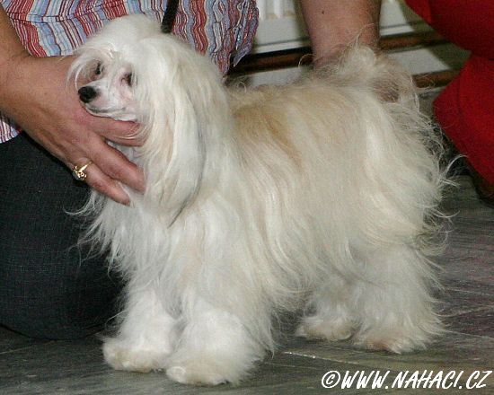 Bonnie Unicovska brana