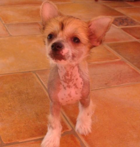 Evelina Meggi Magická Noc