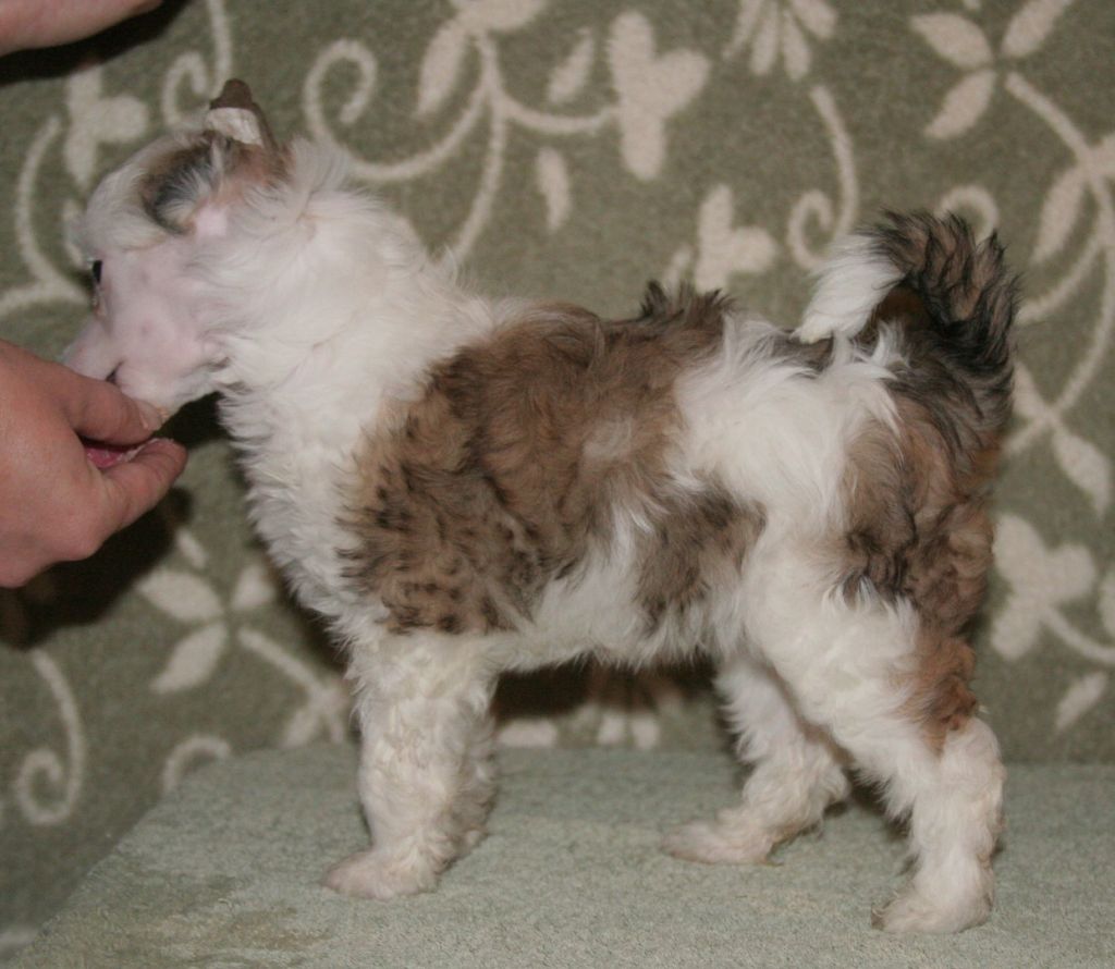 Reject's Twelvth Hour the First