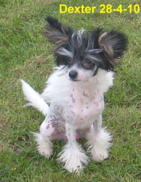 Sonniema Storm Shadow